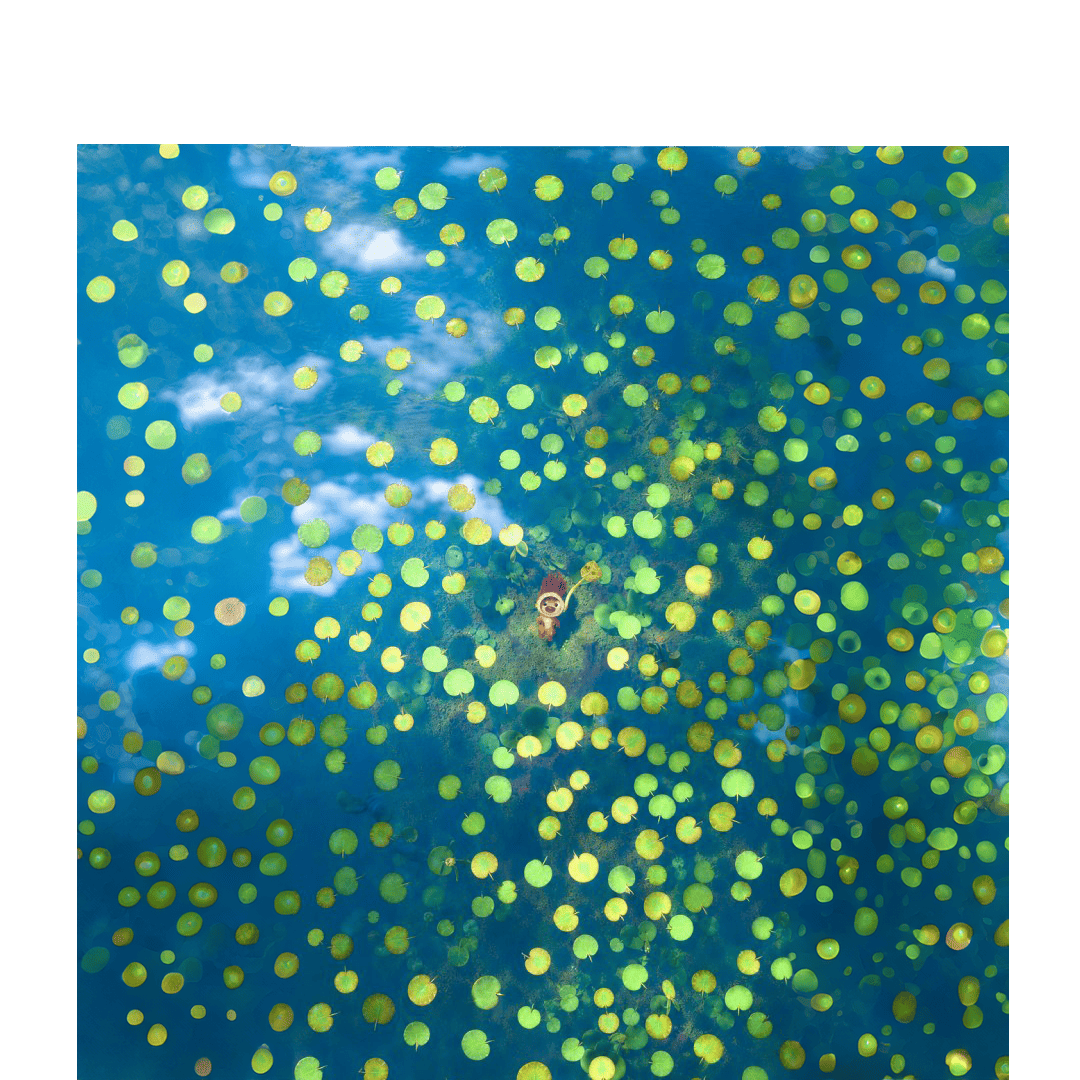 overlay