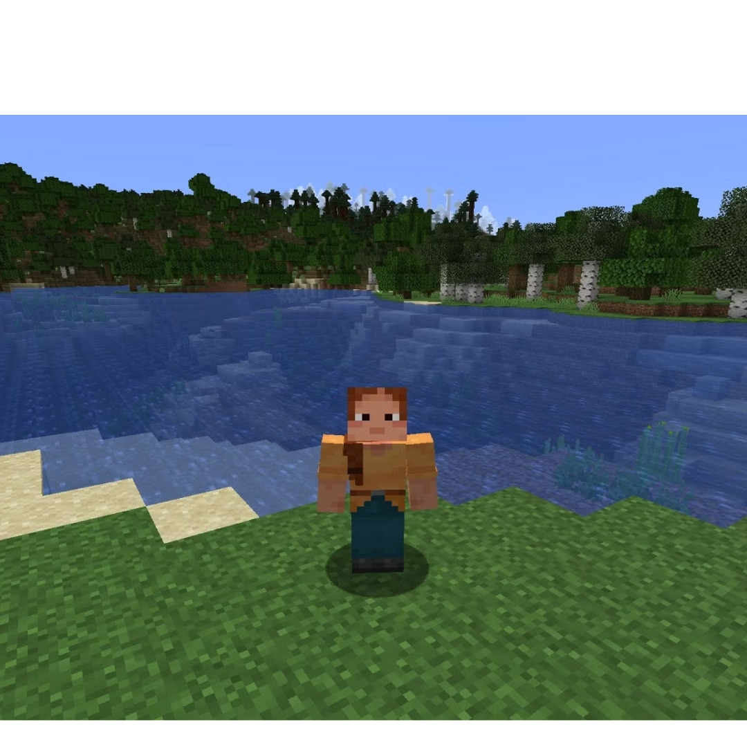 overlay