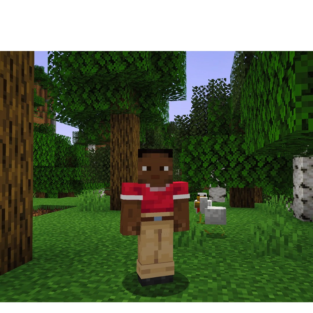 overlay