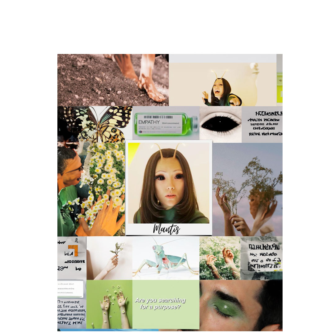 overlay