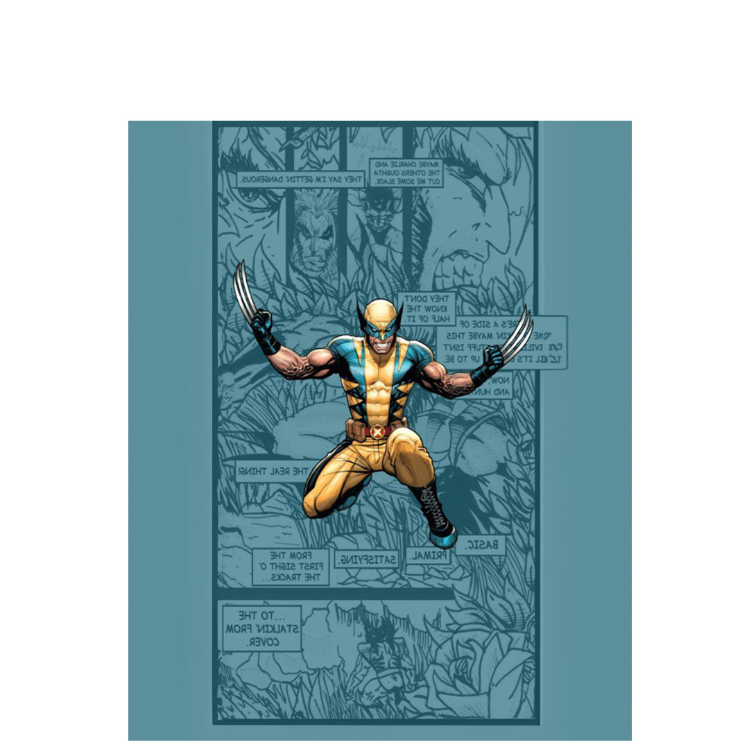 overlay