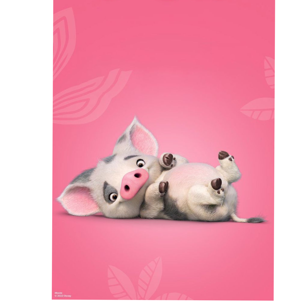 overlay