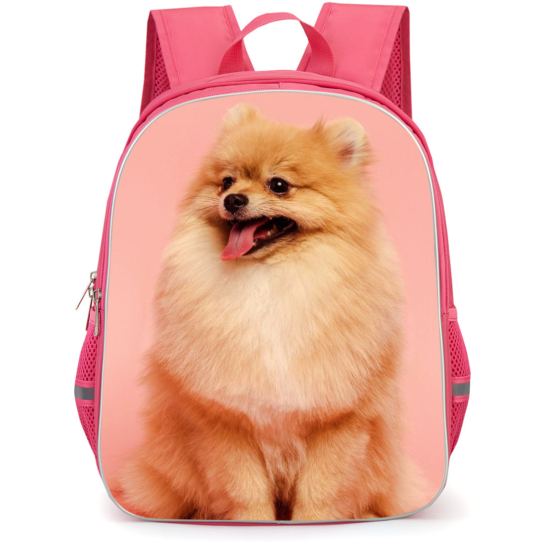 Pomeranian Dog Backpack StudentPack - Pomeranian Dog Sitting on Pink Background