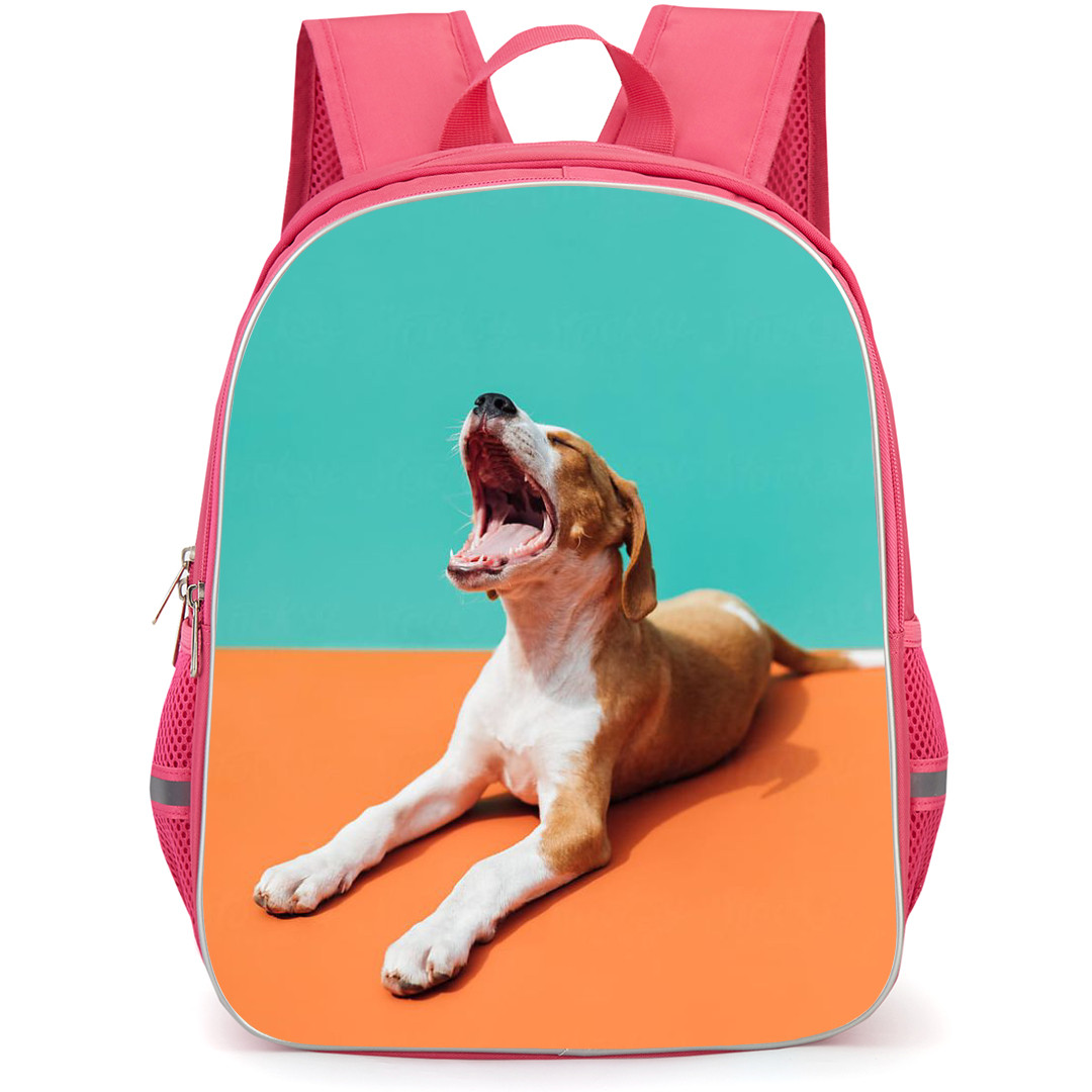 Dog Backpack StudentPack - Dog Sitting on Colorful Background