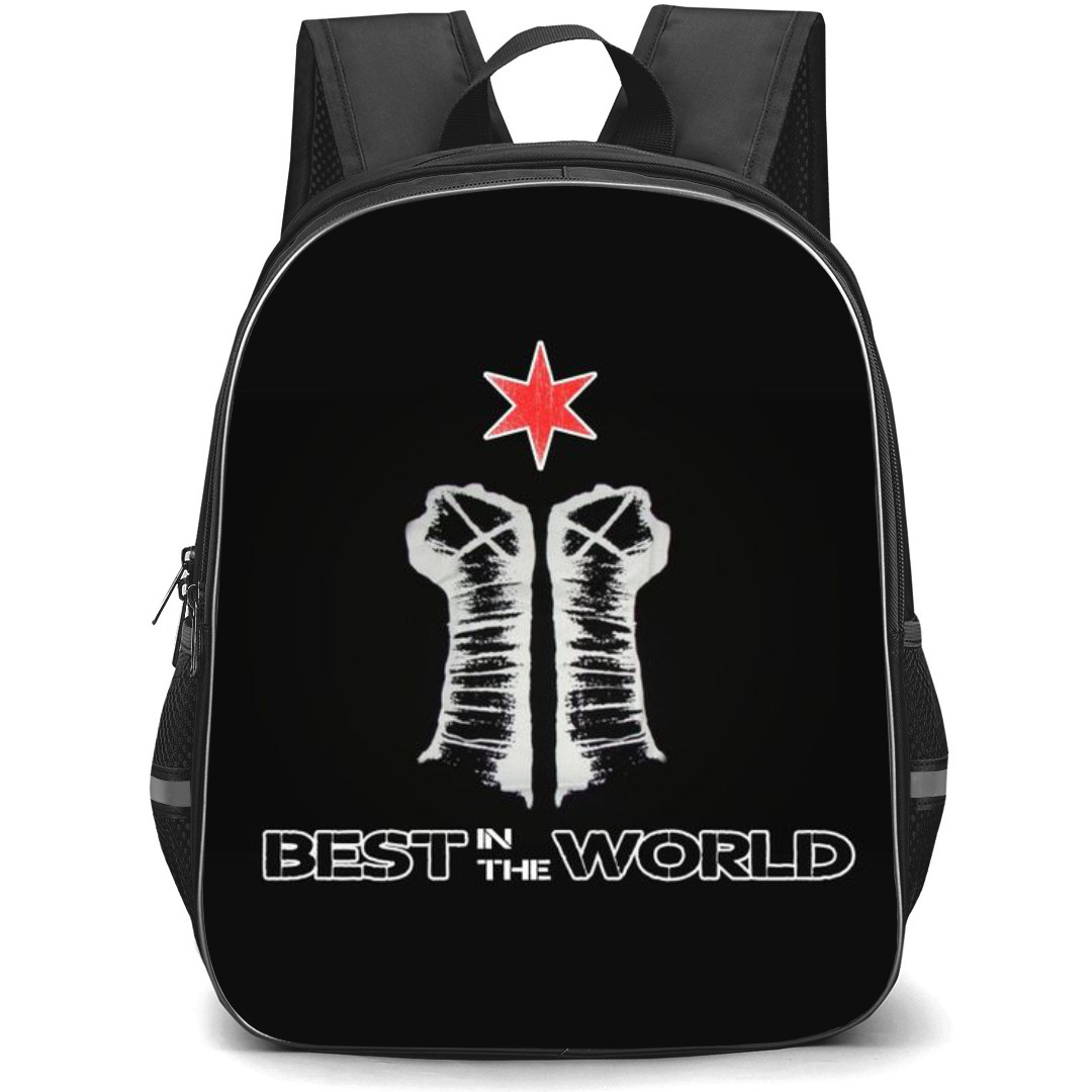 WWE CM Punk Backpack StudentPack - Best In The World Black Background