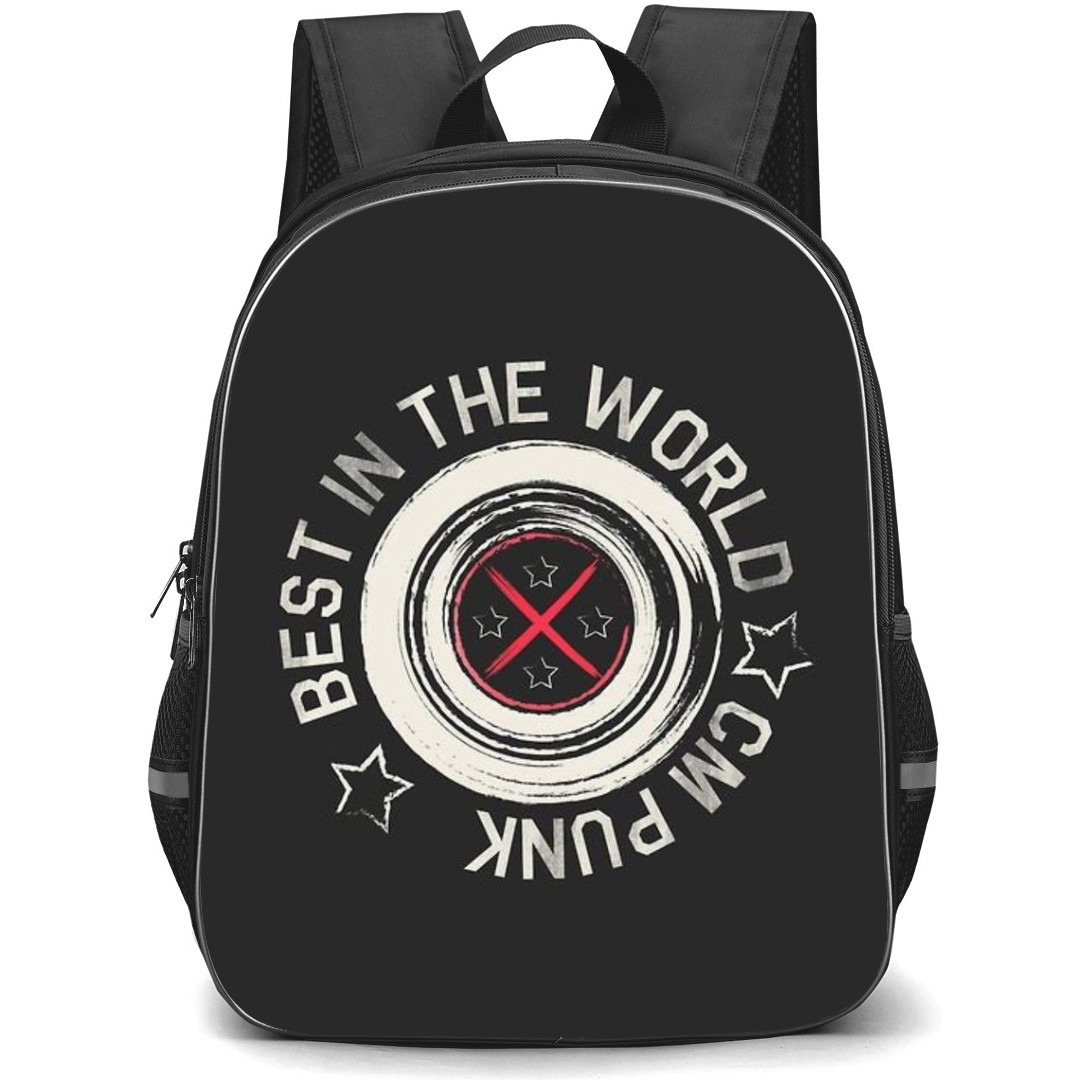 WWE CM Punk Backpack StudentPack - Best In The World Gray Background