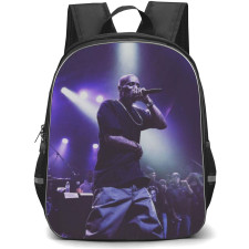 DMX Backpack StudentPack - DMX Performing In A Concert Poster