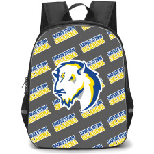 Southeastern Oklahoma State University Savage Storm Backpack StudentPack - Southeastern Oklahoma State University Savage Storm College Football Medley Monogram Wordmark