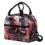 F1 Formula One Carlos Sainz Lunch Box - Carlos Sainz British GP Winner Poster