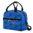 MLB Tampa Bay Rays Insulated Lunch Bag Box - Tampa Bay Rays Medley Monogram Wordmark